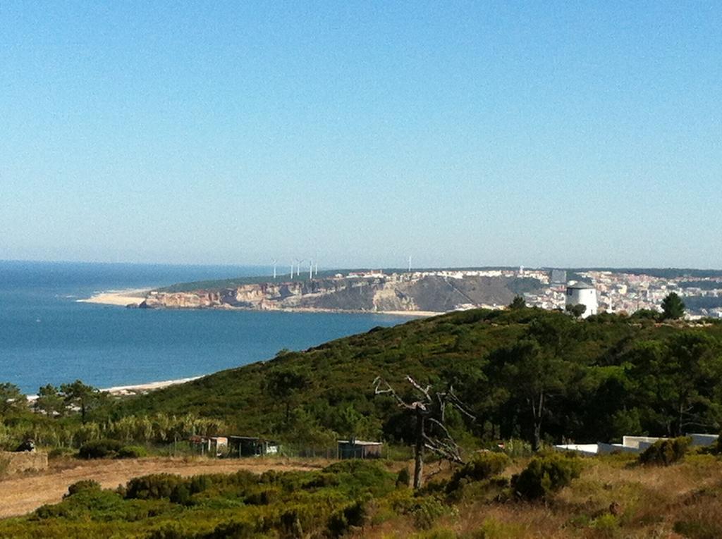 Avo Bolachas 10 Nazare